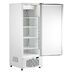 Шкаф холодильный ШХ-0,7-02 крашеный ABAT