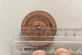 Камень шлифовальный 871 D.40 для слайсера 22-25 G, Sirman, Fimar RGV (871)