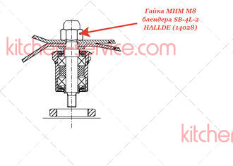 Гайка MHM M8 для блендера SB-4L-2 HALLDE (14028)