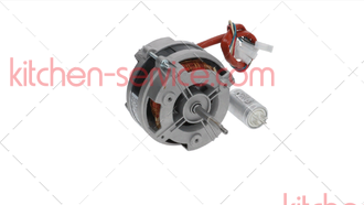 Мотор для вентилятора FIR TECNOEKA (01202600)