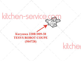 Катушка 220В D09-38 TESYS ROBOT COUPE (504728)