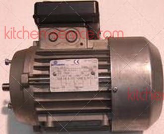 Двигатель TSV 16 230V 0.55KW для GAM (RG101047)