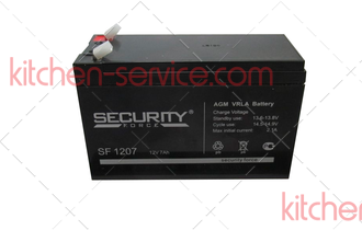 Аккумулятор SECURITY FORSE SF1207 (THD) CAS