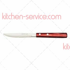 Нож столовый Polywood 20 см TRAMONTINA (21101/474)