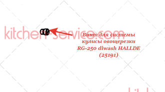 Винт для системы кулисы для овощерезки RG-250 diwash HALLDE (25191)