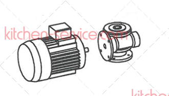 Мотор-редуктор для тестомеса спирального ITPIZZA M/SK-16/20 1Ф 5M010501 (34903)