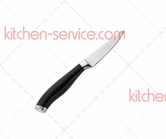 Нож для чистки овощей 85/200 мм кованый 741000EV PINTINOX