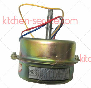 Электродвигатель вентилятора конденсатора для сокоохладителя ECOLUN (9_Fan motor)