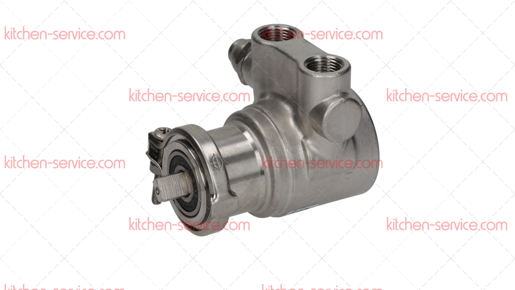 Насос объемный 3/8" NPT ROTOFLOW (1330007) Насос объемный 3/8" NPT ROTOFLOW (1330007)
