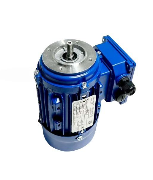 Двигатель электрический АИР для GRILL MASTER (000059) Двигатель электрический АИР для GRILL MASTER (000059)