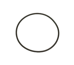 Кольцо уплотнительное Viton для AMBACH (5017308860)
