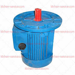 Двигатель АИР71А4У3 IM3081 0,55/1500 для ТОРГМАШ (г. Барановичи)