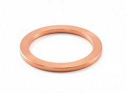 Шайба медная уплотнительная 22x17x1.5 мм для CARIMALI (95.01167)