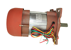 Мотор для HS20B NEW GASTROMIX