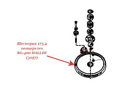 Шестерня 173,2 для овощерезки RG-400 HALLDE (3057)