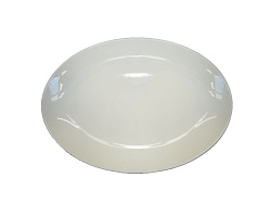 Блюдо овальное без полей 310x220 мм Royal White 6-18 TUDOR ENGLAND (TU3002-1)