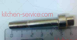 BQ316_screw bloc Шуруп блокирующий для фризера Starfood BQ818PY,BQ316M