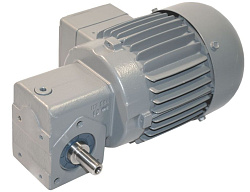 Мотор-редуктор для WINTERHALTER (3116070)