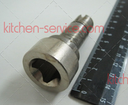 CG22DM_31 output axi Вал рабочий для мясорубки_сыротерки Starfood 22