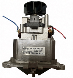 Двигатель B-012AJ-16 для GASTRORAG (B-012AJ-16)