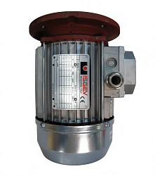 Мотор вытяжной для вентиляции MONDIAL FORNI (704327)