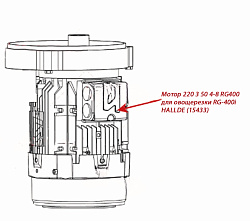 Мотор 220 3 50 4-8 RG400 для овощерезки RG-400i HALLDE (15433)