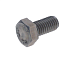 Болт с шестигранной головкой M6x10 для RATIONAL (1006.0762)