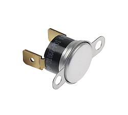 Термостат защитный для ACE MENUMASTER (31866P01)