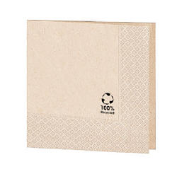 Салфетка бумажная ECO двухслойная 20x20 см GARCIA DE POU (143.70)