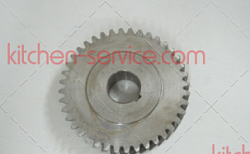 CG22DM_51 big gear B Шестерня редуктора большая ведомая для мясорубки_сыротерки Starfood 22