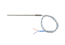 Датчик температуры для PRISMAFOOD (5T010216)