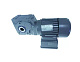 Мотор-редуктор 50 Гц для WINTERHALTER (3116080)
