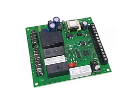 Плата электронная для дисплея RCB/RCG RADAX (R20SCH00004)