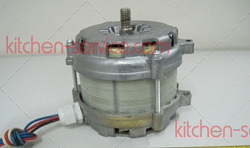 MS250_1-8 motor Электродвигатель для слайсера Starfood 250