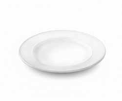 Тарелка 255 мм усиленный край WILMAX