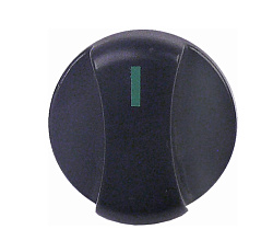 Ручка регулятор для Mastro FAGOR (12024309)