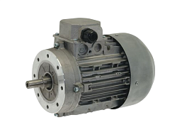 Двигатель TF IX BRM для пилы SIRMAN (LF1810501)