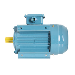 Электродвигатель для JGL135-5B FOODATLAS (УТ000007622)