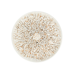 Тарелка 25см Mosaic Sand 1972 BY ID FINE