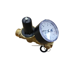 Клапан давления в сборе 3/4 для FINES (099-30101533)