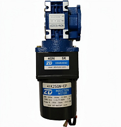 Двигатель с редуктором для IMS-25 GASTRORAG (IMS-25-14)