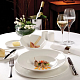 Блюдо  Monaco White 300 мм, фарфор белый STEELITE INTERNATIONAL (9001C300)