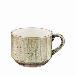Чашка чайная 210 мл Террин, форма Банкет BONNA