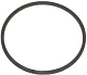 Уплотнение кольцевое для WINTERHALTER (60003021)