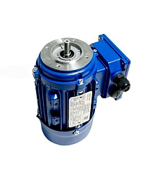 Двигатель электрический АИР для GRILL MASTER (000059)