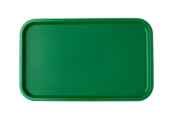 Поднос 52,5х32,5 см, зеленый, поверхность шагрень (119) MGprof (1737)