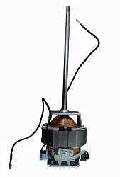 Двигатель для W-MS-22V GASTRORAG