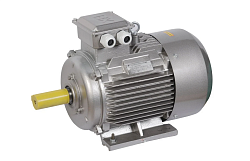 Двигатель SEg 80-4С (ТМ-32 D1=19 мм) 220 В для ТОРГМАШ (г. Барановичи)