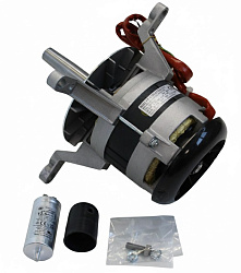 Мотор для SYNTHESIS ZANOLLI (MOTO0195)