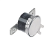 Термостат защитный для ACE MENUMASTER (B5684102)